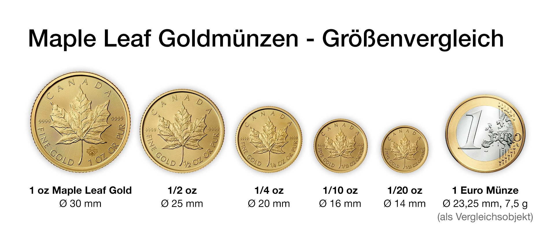 Maple Leaf Goldmünzen-Größenvergleich