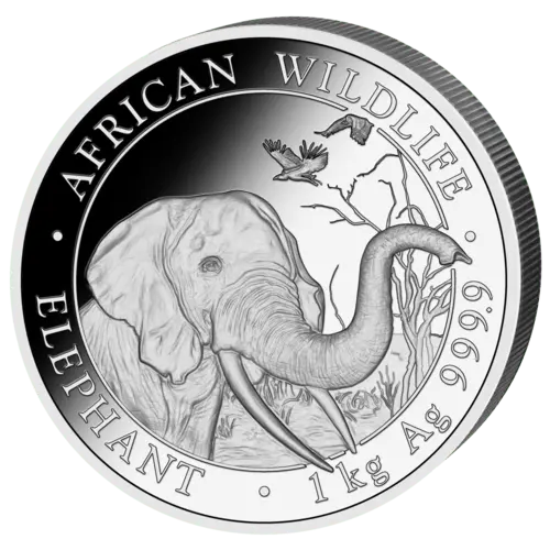 Vorderseite der 1 kg Silber Somalia Elefant 2018 von Hersteller Geiger Edelmetalle AG