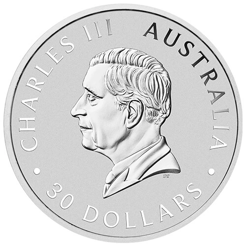 1 Kilo Silber Kookaburra 2025