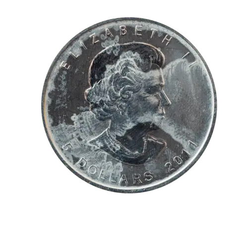 Rückseite der 1 Unze Silber Maple Leaf angelaufen von Hersteller Royal Canadian Mint