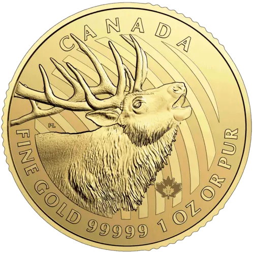 Vorderseite Goldmünze 1 Unze Kanada Hirsch 2017, der Hersteller Royal Canadian Mint