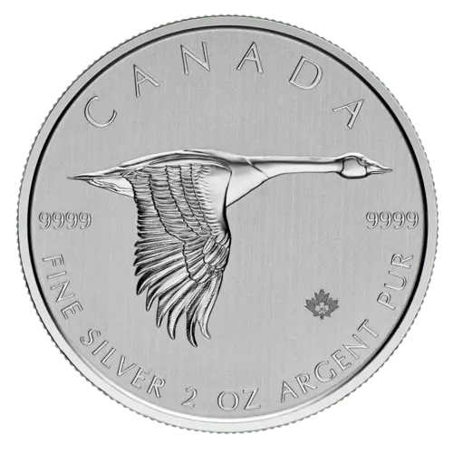 Vorderseite der 2 Unzen Silber Kanada Gans 2020 von Hersteller Royal Canadian Mint