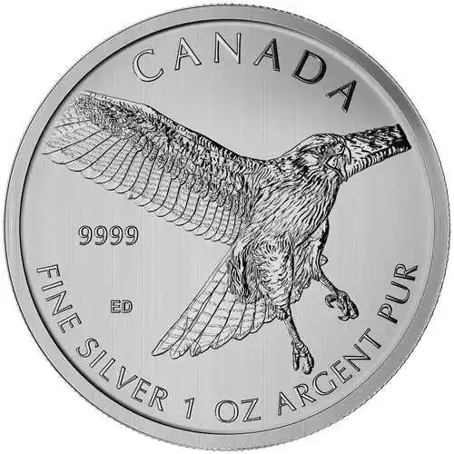 Vorderseite der 1 Unze Silber Birds of Prey - Rotschwanzbussard 2015 von Hersteller Royal Canadian Mint