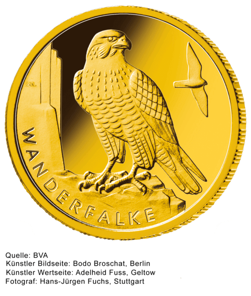 Vorderseite Goldmünze 1/8 Unze 20 Euro Heimische Vögel diverse Jahrgänge, der Hersteller Div. dt. Prägeanstalten