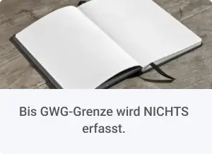 Bis GWG-Grenze wird NICHTS erfasst.