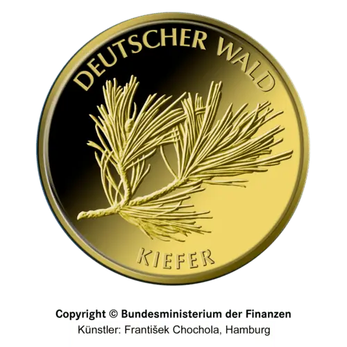 Vorderseite Goldmünze 1/8 Unze 20 Euro Deutscher Wald Kiefer diverse Jahrgänge, der Hersteller Div. dt. Prägeanstalten