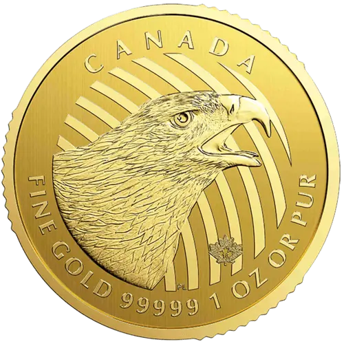 Vorderseite Goldmünze 1 Unze Kanada Adler 2018, der Hersteller Royal Canadian Mint