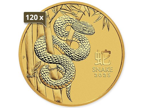 120 x 1/10 Unze Gold Lunar III Schlange 2025