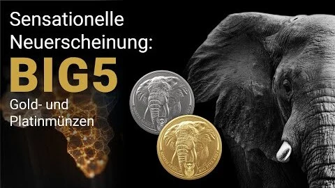 Big 5 Gold- und Platinmünzen aus Südafrika