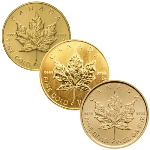 Vorderseite 3 Goldmünzen 1/2 Unze Maple Leaf diverse Jahrgänge, der Hersteller Royal Canadian Mint