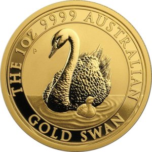 Australian Swan 2018