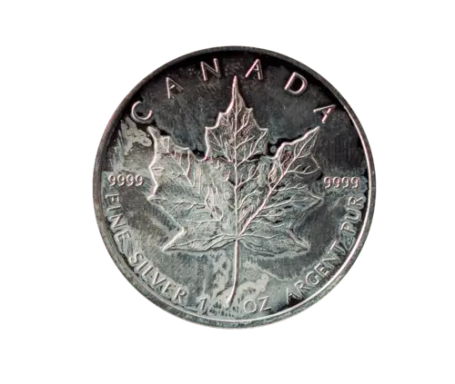 Vorderseite der 1 Unze Silber Maple Leaf angelaufen von Hersteller Royal Canadian Mint