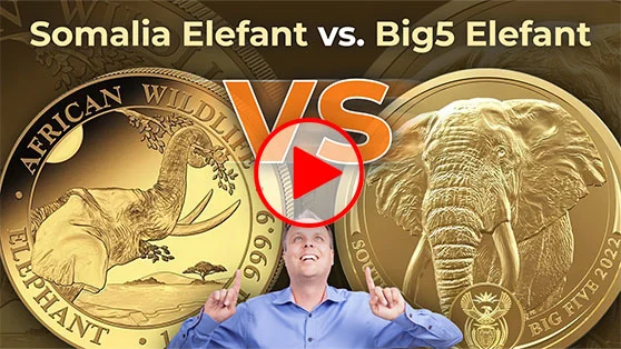 Somalia Elefant vs Big Five